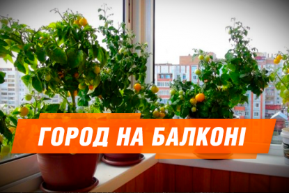Ілюстрація: fakty.ictv.ua