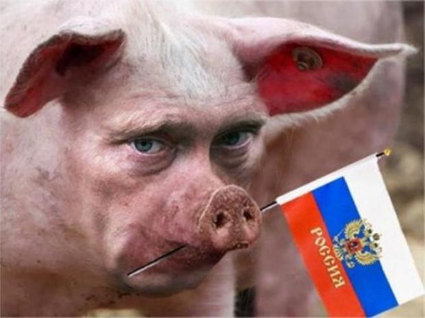 Росіяни стверджують, що бути свинями - "високодуховно". Ілюстрація: соцмережі.