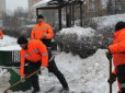 Шаленство скреп: У Росії косять траву під снігом, в мережі істерика (відео)