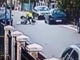 Без господарів, але герой: Бездомний пес захистив жінку від злодія на вулиці (відео)