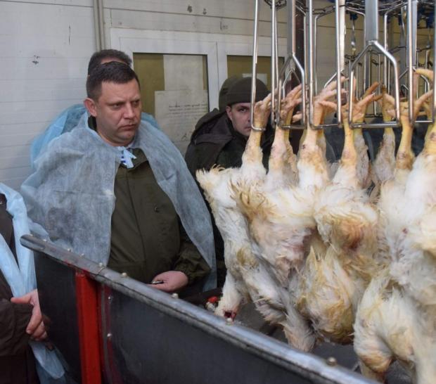 Фото: dialog.ua.