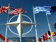 Дайте скрепам валер'янки: НАТО схвалило ініціативу Порошенка щодо вступу в Альянс