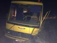 На Житомирщині BMW влетів у шкільний автобус, є жертви