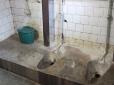 Туалети у лікарні для душевнохворих на Закарпатті зведуть з глузду і здорового (фотофакти)
