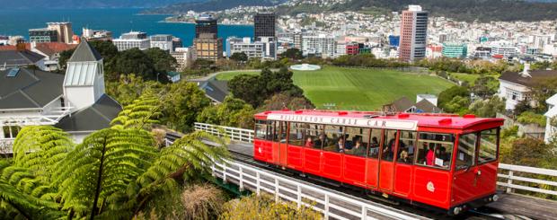 Фото: shutterstock.com.