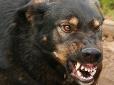 Знайшли крайнього: У справі про загибель ветерана АТО, якого загризли собаки, суд засудив пенсіонера