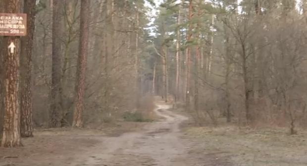 Рештки розчленованого тіла шукали у лісі. Фото: скріншот з відео.
