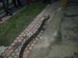 На вулиці курортного міста Закарпаття вбили гігантську змію (фото)