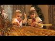 Українські традиції: Що таке дідух, з чого роблять та скільки коштує (відео)