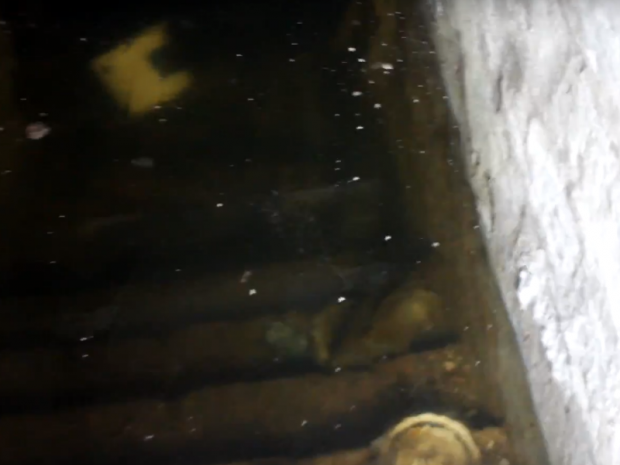 Підтоплений підвал. Фото:скрін відео