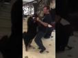Хіти тижня. У мережі потрапило відео запальних танців Луценка з собакою