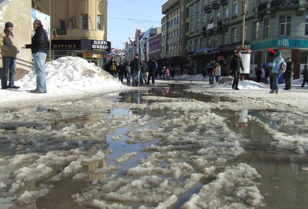 Фото: news.if.ua.