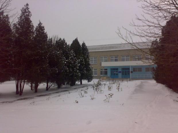 Школа №1 міста Новоазовськ. Фото: "Родное Приазовье".