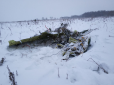 Могло бути зіткнення: На місці авіакатастрофи Ан-148 у Підмосков'ї знайшли уламки іншого повітряного судна