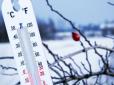 Морози чи відлига? Синоптики розповіли, якою буде погода в Україні