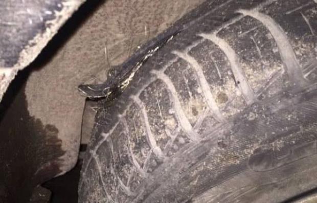 Ілюстрація: ЗМІ