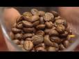 Лайфхак: Як правильно пити і обрати каву в зернах (відео)