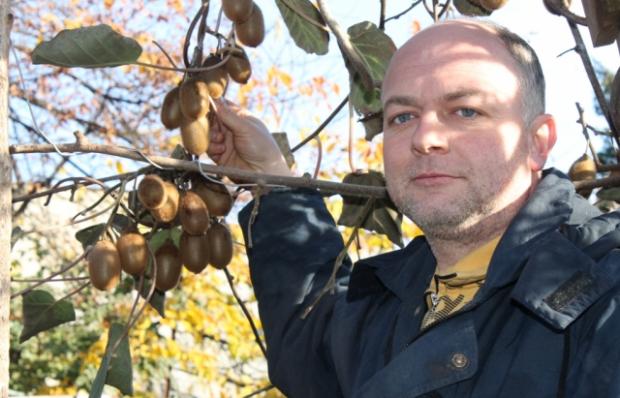 Генріх Стратон з вирощеними плодами. Фото:mukachevo.net