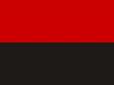Українські політики вимагають заборонити в'їзд депутату польського Сейму, який спалив прапор ОУН у Варшаві