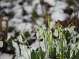 Весна відкладається? - Синоптики озвучили невтішний прогноз погоди для України