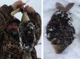 Хіти тижня. Не мутант: У Росії рибалка спіймав незвичну волохату рибу (фото)