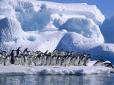 В Антарктиці випала рекордна за 200 років кількість снігу