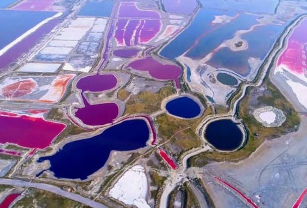 Озеро Яньху перетворилося на різнокольорові басейни. Через спекотну погоду водорості почали швидко розмножуватися. Фото: Victor Mazovsky/flickr