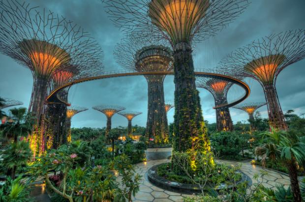 Парк "Сади біля затоки" в Сінгапурі. Фото: Victor Mazovsky/flickr