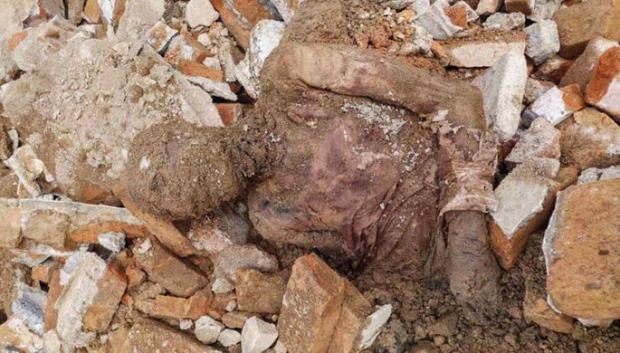 Знайдена в Ірані мумія. Фото: socportal.info