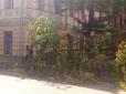 На батьківщині Гройсмана дерево впало на трирічну дівчинку