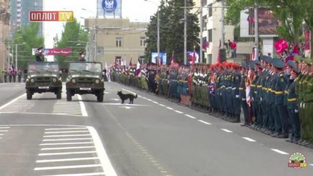 Захарченка на параді облаяв пес. Фото: скріншот з відео.