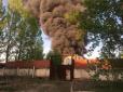 Полум'яні скрепи: У Росії сталася нова масштабна пожежа (фото, відео)