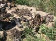 Хіти тижня. Їх просто зарили: Під Дніпром знайшли речі бійців АТО, загиблих під Іловайськом (фото)