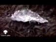 У США виявили загадковий «інопланетний кокон» (відео)