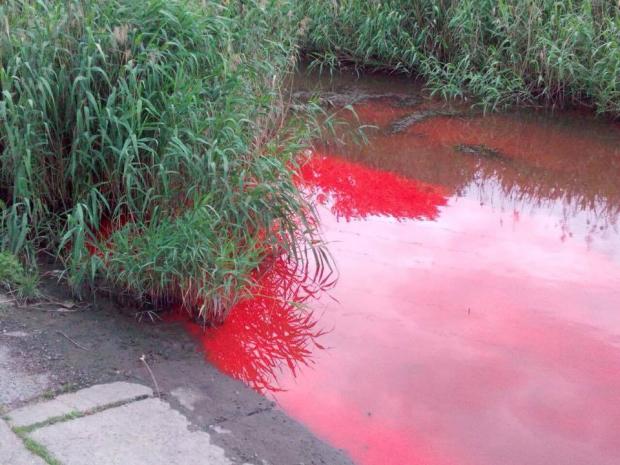 Червоні плями у річці в Запоріжжі. Фото: Фейсбук.