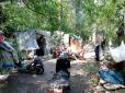 Знищено рослинний покрив, територію засмічено побутовими відходами: Ромський табір у Києві окупував національний парк (фото)