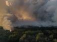 Якась напасть: У Чорнобильській зоні знов пожежа