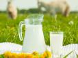 Молоко на нашому столі: Яке корисніше для здоров’я?