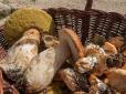 На Луганщині зафіксовано масове отруєння грибами