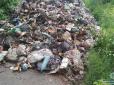 Село на Чернігівщині постраждало від львівського сміття