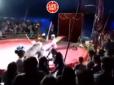 Хіти тижня. Глядачі були у шоці: У російському цирку ведмідь напав на дресирувальника (відео 12+)