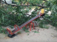 У Києві сильний вітер звалив трухляве дерево на дитячий майданчик (фото)