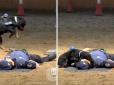 Собака-реаніматолог: Іспанські поліцейські навчили песика рятувати людину (відео)