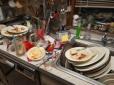 Посуд не миють, бруд до стелі: Мережу шокували кадри із кухні відомого українського ресторану (фото, відео)
