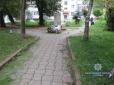 Кучерява голова валяється на землі: На Львівщині знищено пам'ятник Пушкіну (фото)