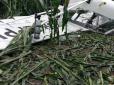 ​Трагедія на Сумщині: Розбився літак, є загиблі