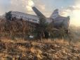 Авіакатастрофа у Південній Африці: Пасажир зняв на відео моторошні подробиці