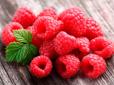 Зміцнює судини і нормалізує циркуляцію крові: Виявлено чудодійні якості популярної ягоди
