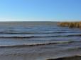Лайно зі всієї Європи: Дунай тоне у фекаліях, Україна закриває пляжі