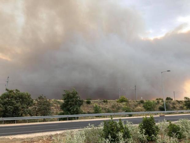 Лісова пожежа у Греції. Фото: соцмережі.